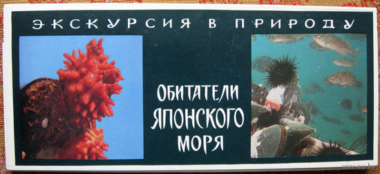 Набор открыток "Экскурсия в природу. Обитатели Японского моря" (1977) 21 открытка