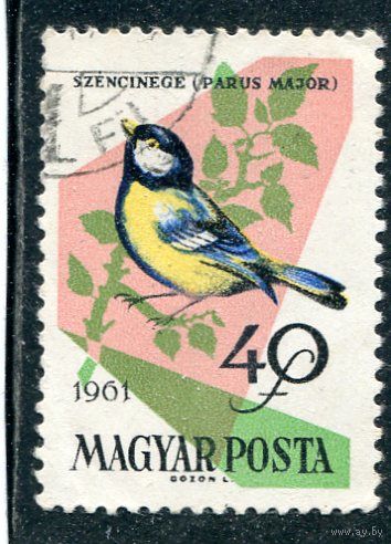Венгрия. Певчие птицы