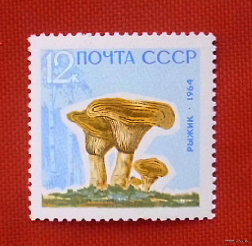 СССР. Грибы. ( 1 марка ) 1964 года.