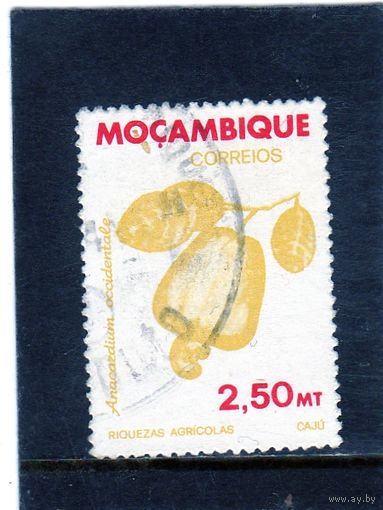 Мозамбик.Ми-831. Кешью (дерево) (Anacardium Occidentale). Серия: Сельскохозяйственное богатство Мозамбика.1981.