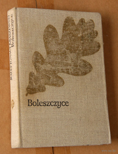 Jozef Ignacy Kraszewski "Boleszczyce" (па-польску)