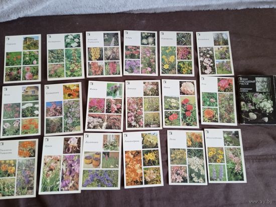 "Декоративные растения" комплект открыток 1987 г.