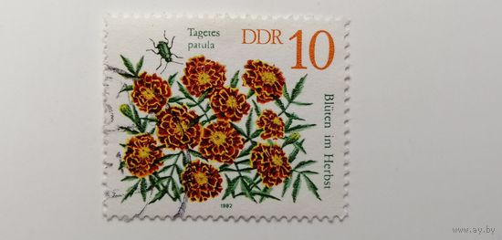 ГДР 1982. Флора