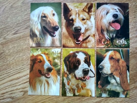 Календари. 1991. Собаки (2 )
