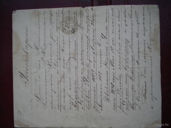 Удостоверение о рождении  1891 г