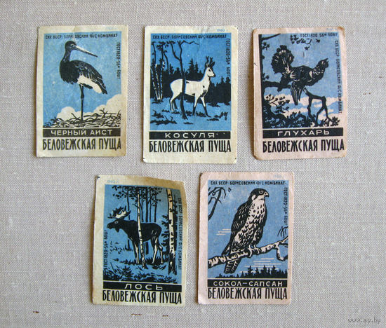 Спичечные этикетки Беловежская пуща Животные 5 штук Синие Борисов 1960