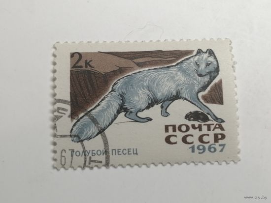 1967 СССР. Пушные звери
