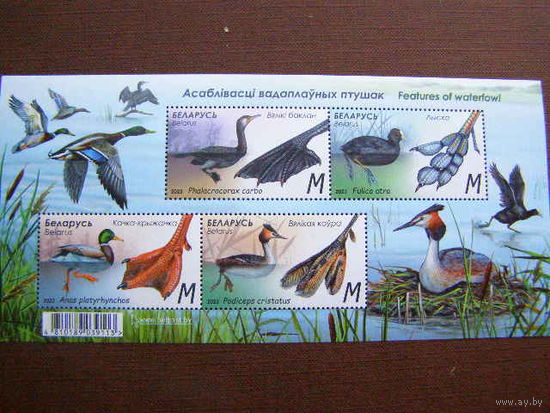 Фауна Особенности водоплавающих птиц (1500, 1501, 1502, 1503) Беларусь 2023 ** М/Л