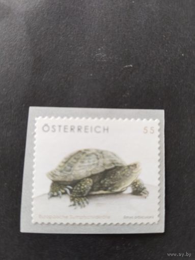 Австрия  черепаха  самокл.