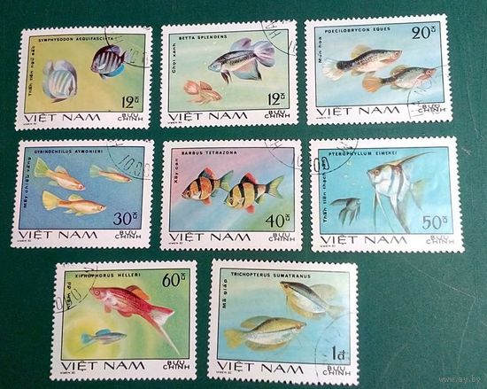МАрки Вьетнам 1981 год. Рыбы. Гашеные Зубцовка. Полная серия из 8 марок.