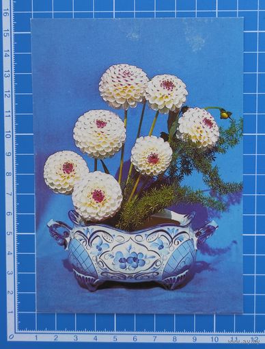 Почтовая карточка от 16.07.1991. "Цветочная композиция". Фото В. Суханова.