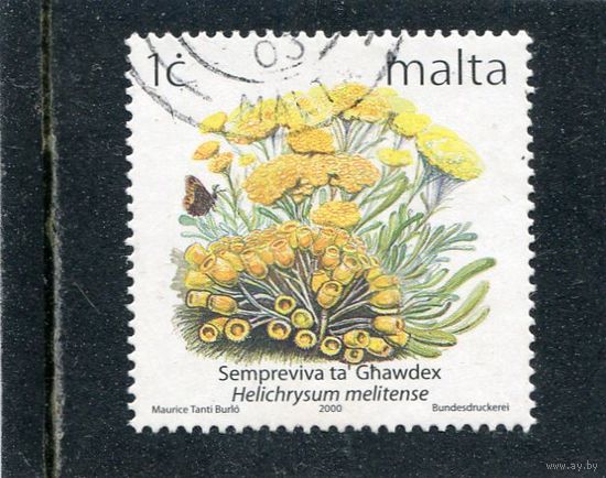 Мальта. Местная флора