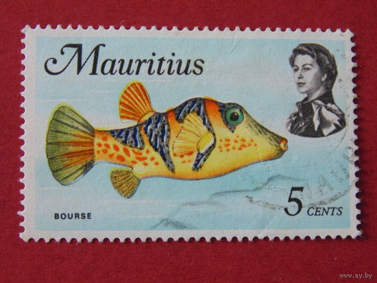 Маврикий 1969 г. Морская фауна.