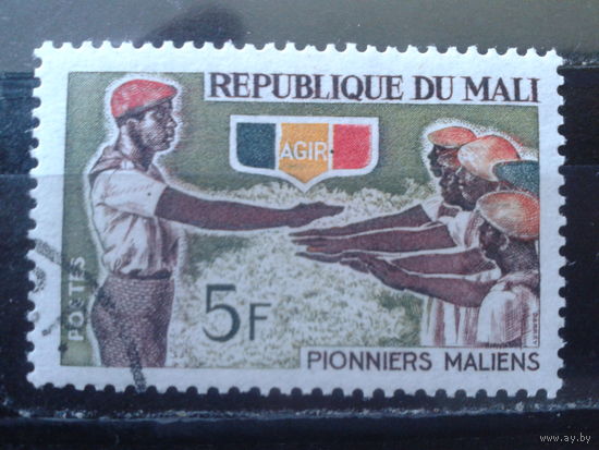 Мали 1966 Ихние пионеры