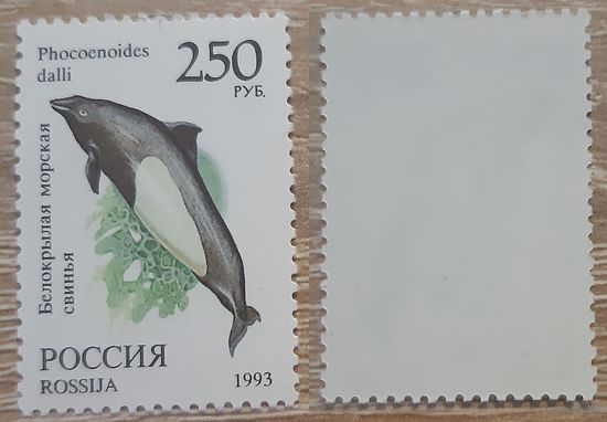 Россия 1993 Фауна мира.Морская свинья