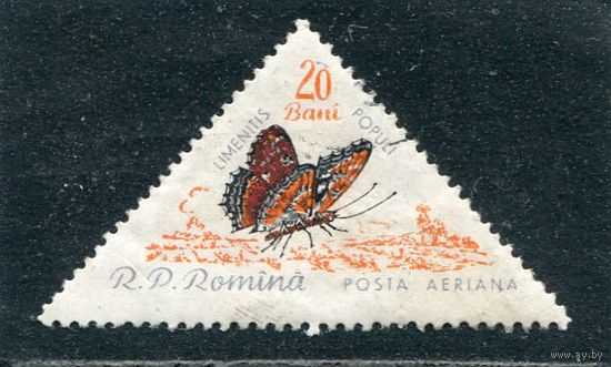 Румыния. Фауна. Бабочка