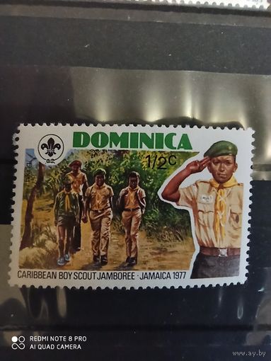Доминика 1977. Скаутское движение