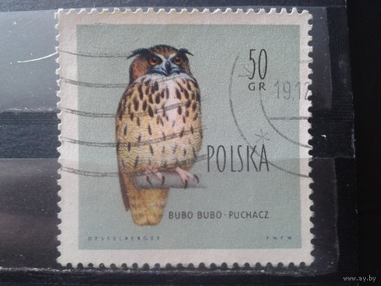 Польша 1960 Охраняемые птицы, филин