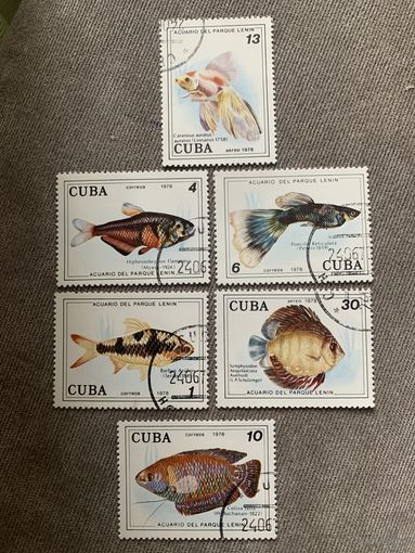Куба 1978. Аквариумные рыбки