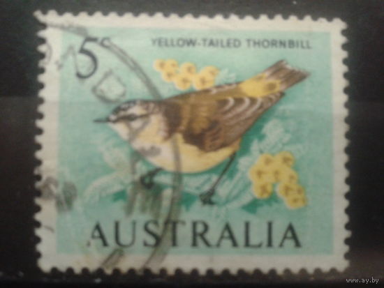 Австралия 1966 птица 5с