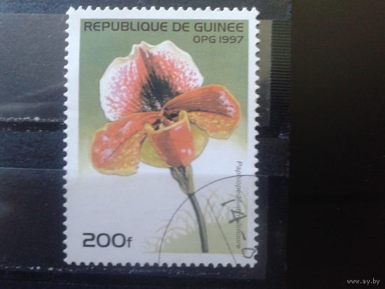 Гвинея 1997 Орхидея