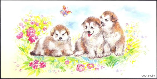 Рисунки щенки