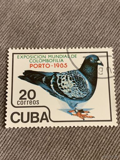 Куба 1985. Почтовый голубь. Марка из серии