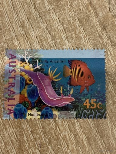 Австралия 1998. Коралловые рыбы. Марка из серии