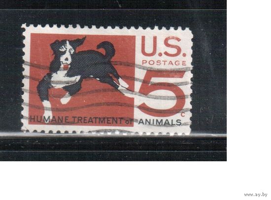 США-1966, (Мих.898) , гаш. , Фауна, Собаки(одиночка),