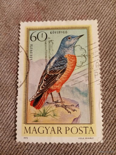 Венгрия 1973. Птицы