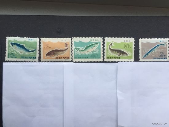 КНДР 1966 год. Рыбы (серия из 5 марок)
