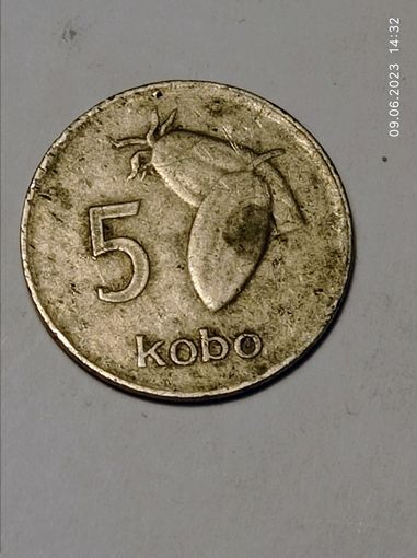 Нигерия 5 Кобо 1989 года .