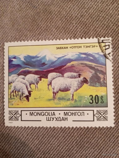 Монголия 1982. Отара Овец