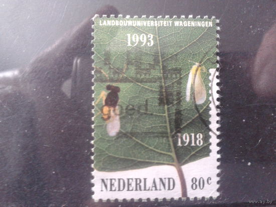 Нидерланды 1993 Зеленый лист и насекомые-вредители