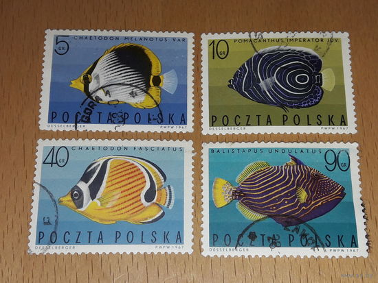 Польша 1967 Фауна Рыбы 4 марки