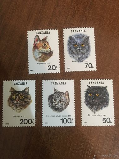 Танзания 1992. Домашние животные. Коты. Полная серия