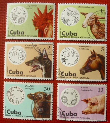 Куба. Домашние животные. ( 6 марок ) 1975 года. 4-17.