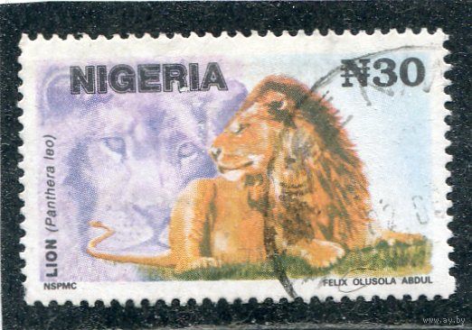 Нигерия. Фауна. Лев