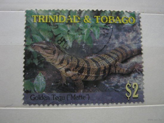 Марка - Тринидад и Тобаго, фауна ящерица