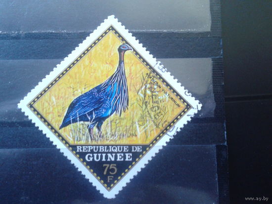 Гвинея 1971 Птица