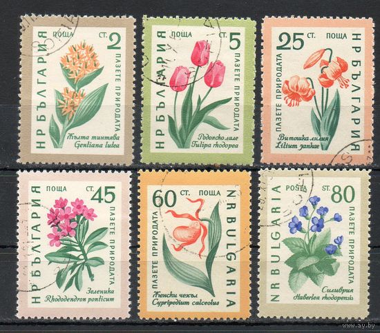 Цветы Болгария 1960 год серия из 6 марок