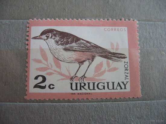 Уругвай. Птичка. 1963г.