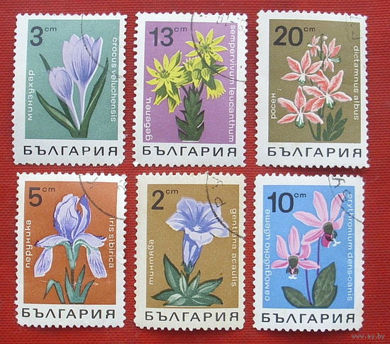 Болгария. Цветы. ( 6 марок ) 1968 года. 8-2.
