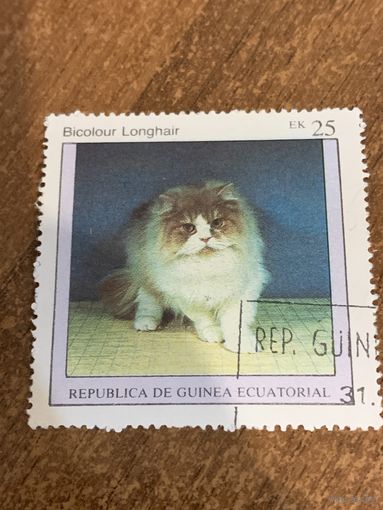 Экваториальная Гвинея 1976. Домашние кошки. Bicolour Longhair. Марка из серии