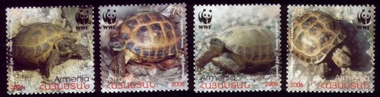4 марки 2007 год Армения Черепахи 561-564