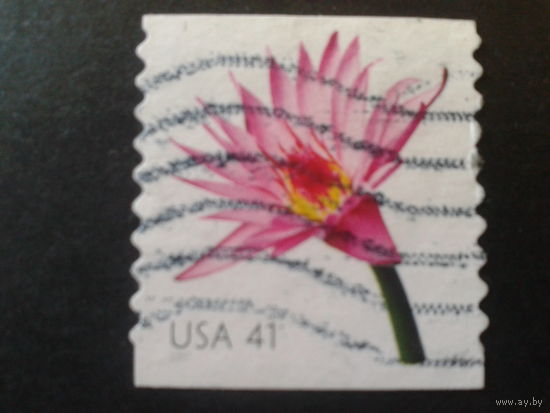 США 2007 стандарт, цветок