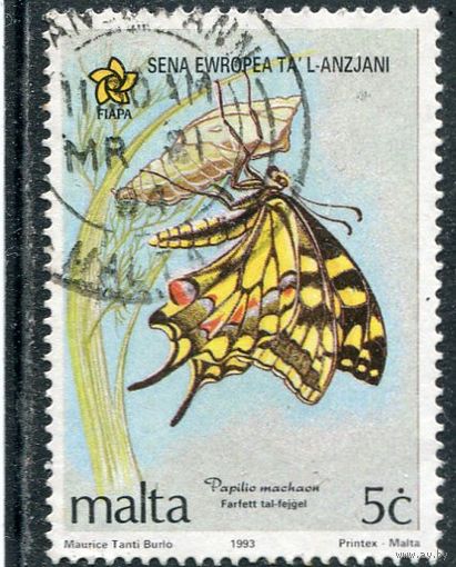 Мальта. Фауна. Бабочка махаон