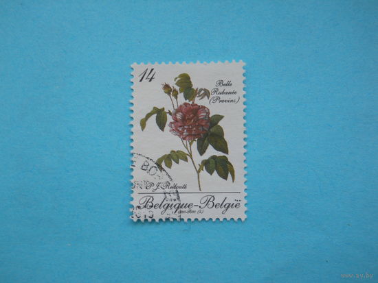 Бельгия 1990 г. Мi-2427. Розы.