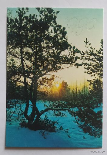 Календарик природа.зима.1990