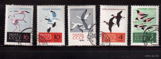 СССР-1962, (Заг.2703-2707)  гаш.(с клеем) , Фауна, Птицы(1)
